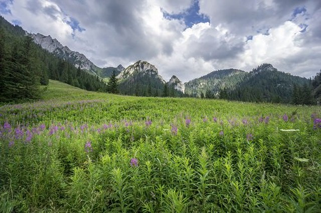 Trasa Widokowa